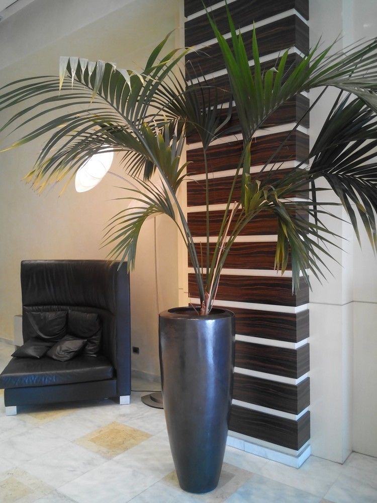 Papillo Hotels & Resorts Roma Exterior photo